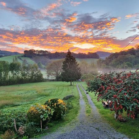 "Chez Naty" Chambres D'Hotes Au Pays-Basque Cheraute Exteriör bild