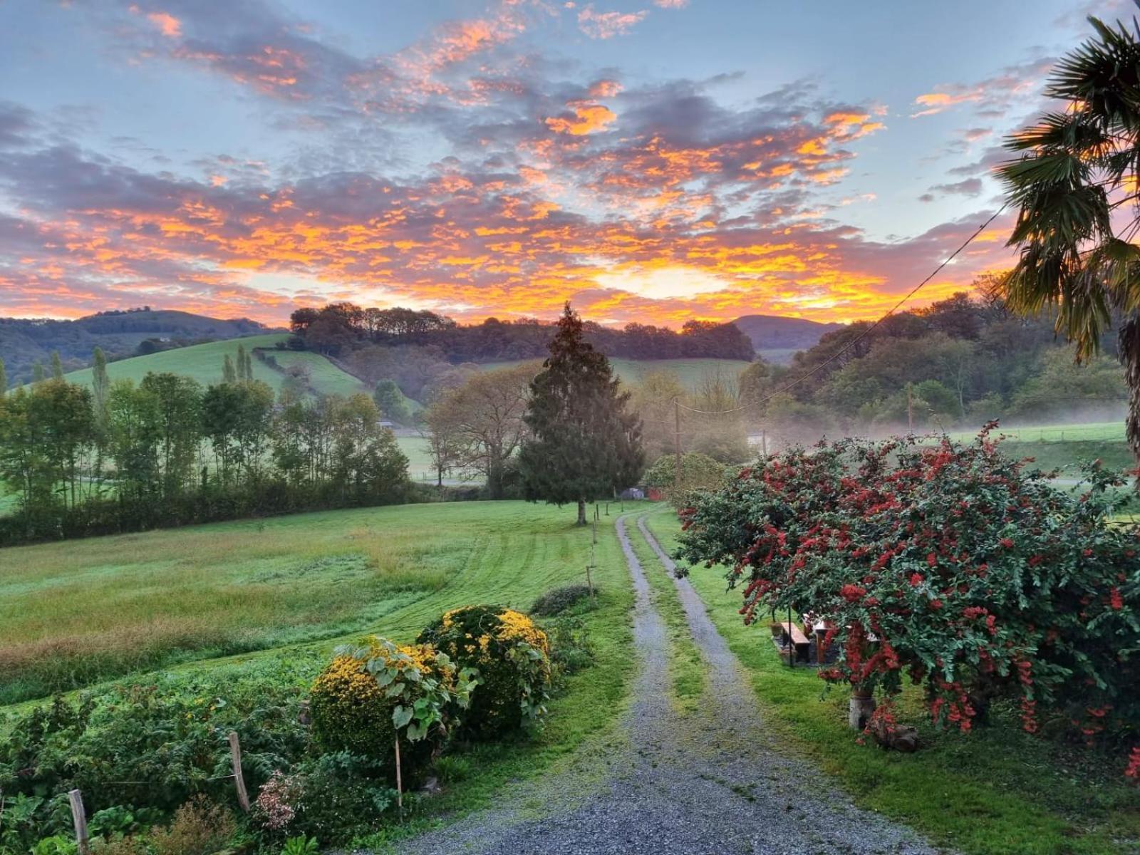 "Chez Naty" Chambres D'Hotes Au Pays-Basque Cheraute Exteriör bild