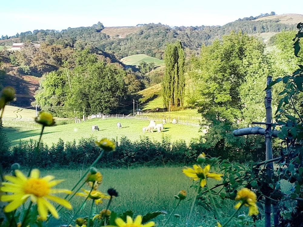 "Chez Naty" Chambres D'Hotes Au Pays-Basque Cheraute Exteriör bild
